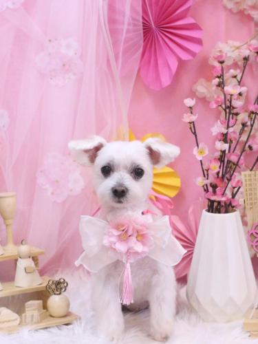 20250323ヒメちゃん